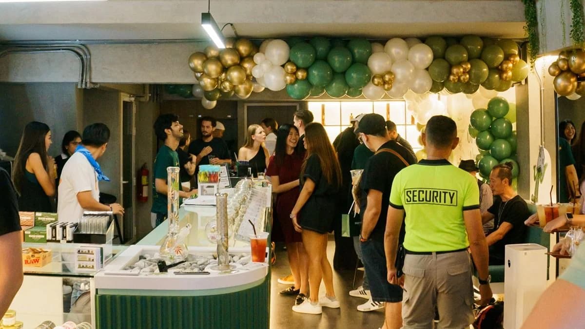 Cannabox partner dispensary environment